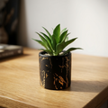 Plant Pot in Black and Gold Marble