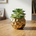 Plant Pot  in Dimpled Gold