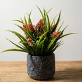 Stone Pot Potted Grass with Red Blooms