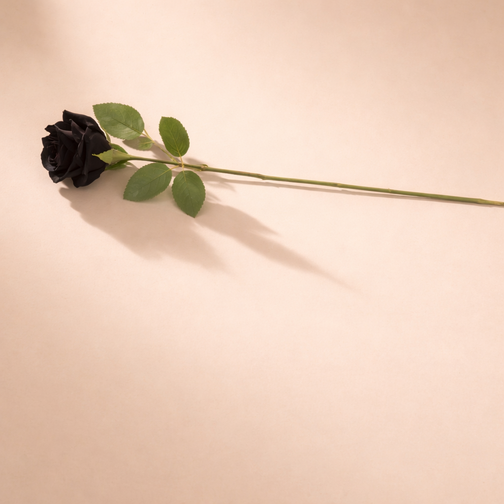 Single Long-Stemmed Midnight Rose