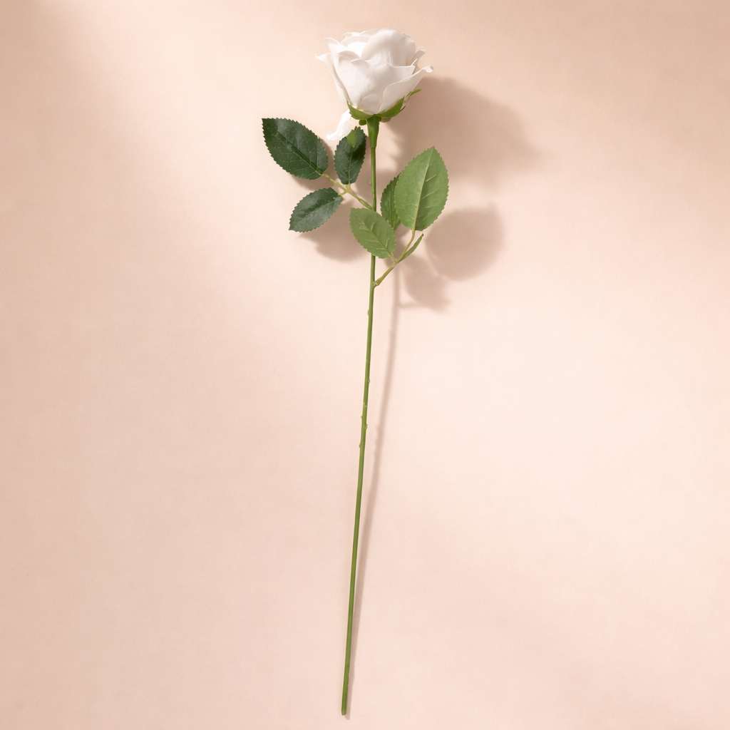 Single Long-Stemmed Midnight Rose