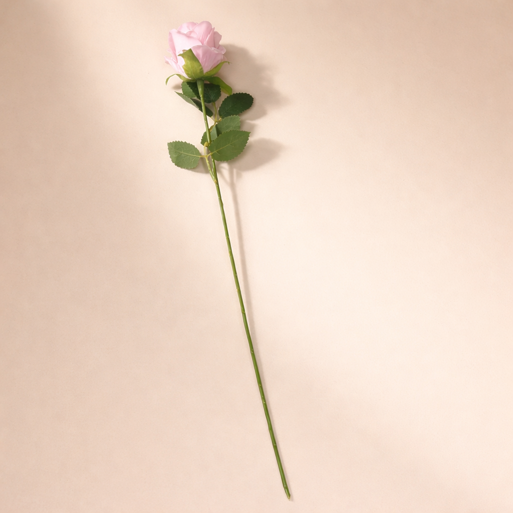 Single Long-Stemmed Midnight Rose