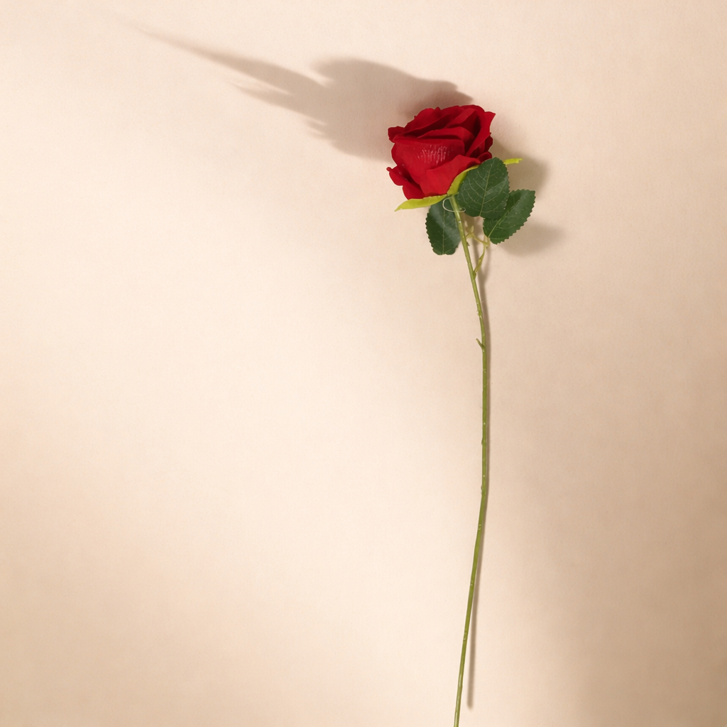Single Long-Stemmed Midnight Rose