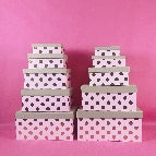 Polka pink gift box (LG1004)